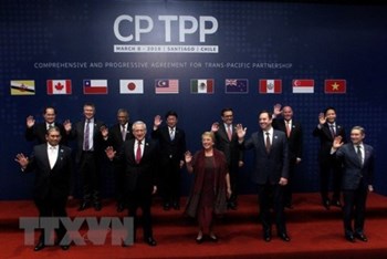 CPTPP OFFICIALLY TAKES EFFECT IN VIETNAM